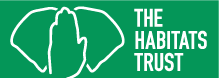THT Logo